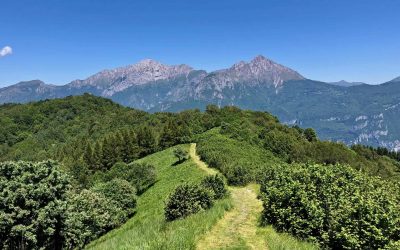 Triangolo Lariano: Monte Megna