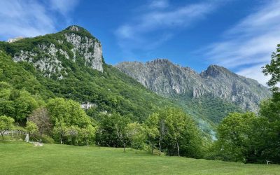 Colori di primavera: tra Moregallo e Corni di Canzo